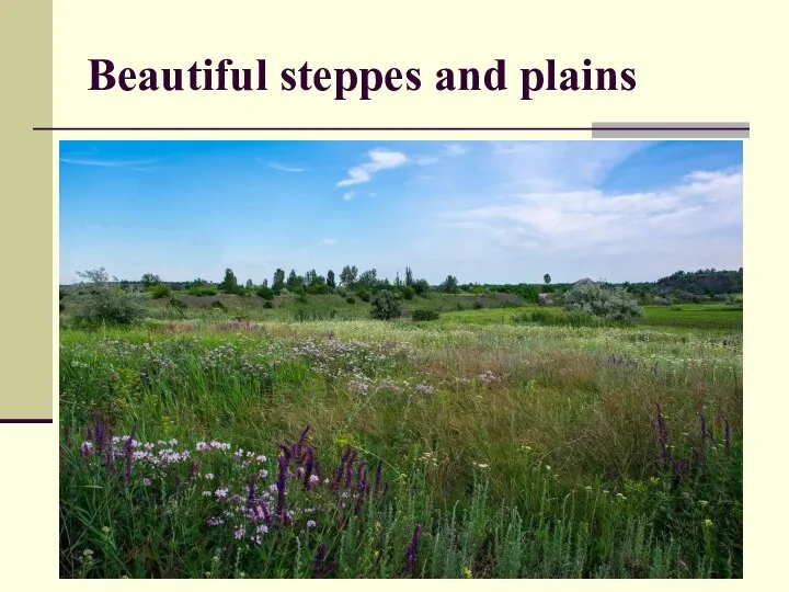 Beautiful steppes and plains