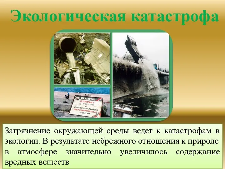 Загрязнение окружающей среды ведет к катастрофам в экологии. В результате небрежного отношения