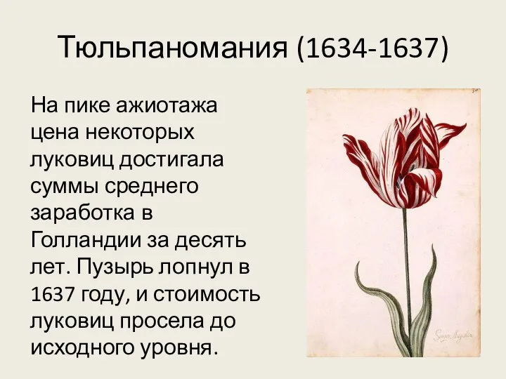 Тюльпаномания (1634-1637) На пике ажиотажа цена некоторых луковиц достигала суммы среднего заработка