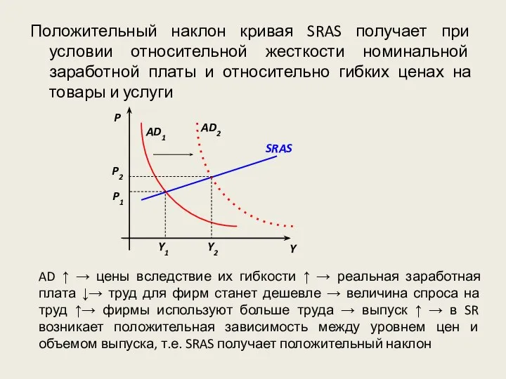 Положительный наклон кривая SRAS получает при условии относительной жесткости номинальной заработной платы