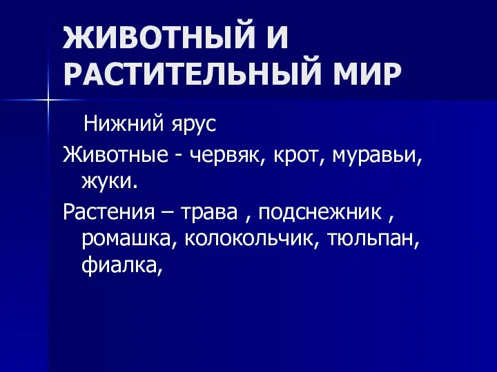 ЖИВОТНЫЙ И РАСТИТЕЛЬНЫЙ МИР Нижний ярус Животные - червяк, крот, муравьи, жуки.