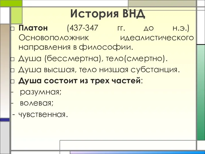 История ВНД Платон (437-347 гг. до н.э.) Основоположник идеалистического направления в философии.