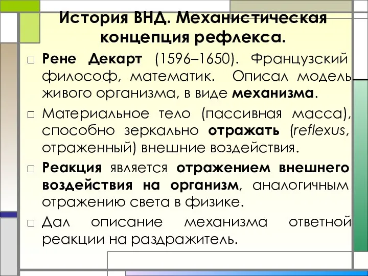 История ВНД. Механистическая концепция рефлекса. Рене Декарт (1596–1650). Французский философ, математик. Описал