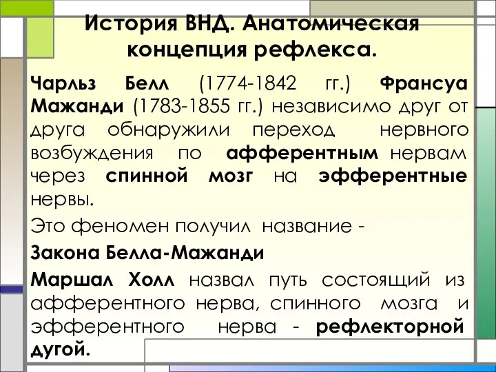 История ВНД. Анатомическая концепция рефлекса. Чарльз Белл (1774-1842 гг.) Франсуа Мажанди (1783-1855