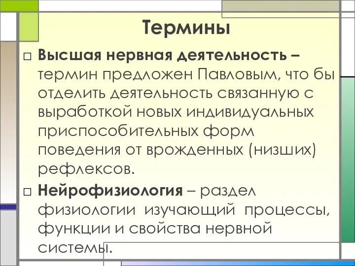 Термины Высшая нервная деятельность – термин предложен Павловым, что бы отделить деятельность