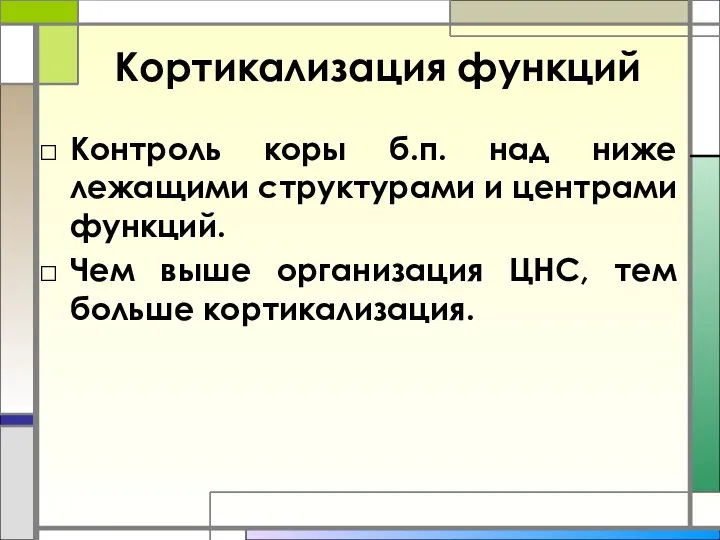 Кортикализация функций Контроль коры б.п. над ниже лежащими структурами и центрами функций.