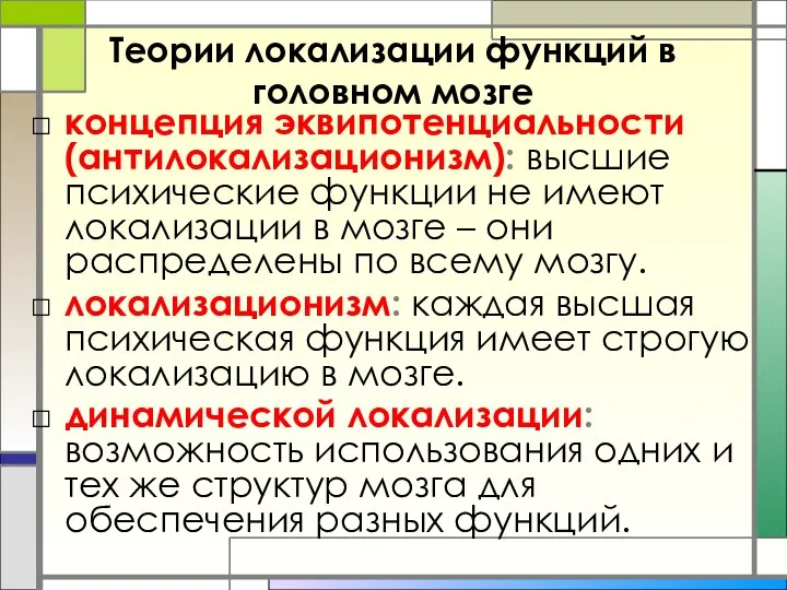 Теории локализации функций в головном мозге концепция эквипотенциальности (антилокализационизм): высшие психические функции