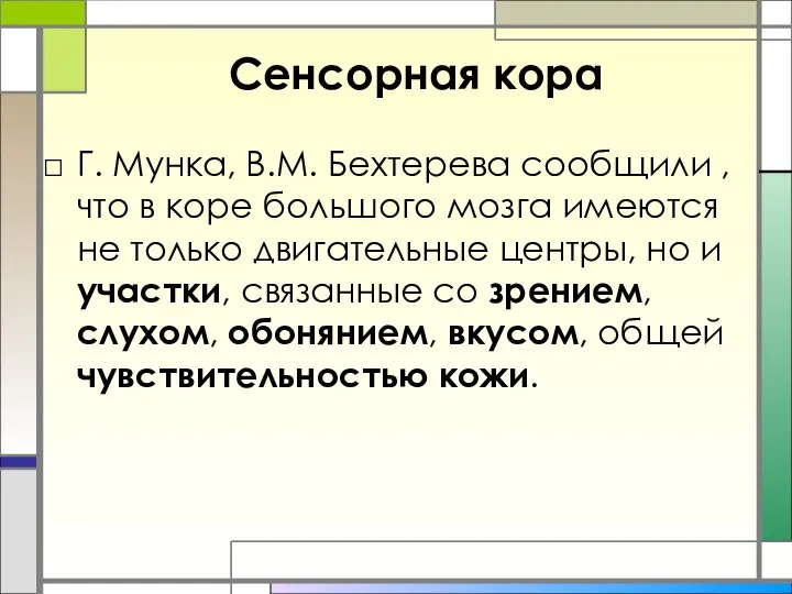 Сенсорная кора Г. Мунка, В.М. Бехтерева сообщили , что в коре большого