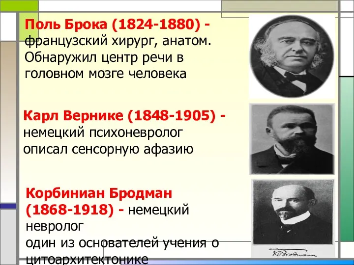 Корбиниан Бродман (1868-1918) - немецкий невролог один из основателей учения о цитоархитектонике