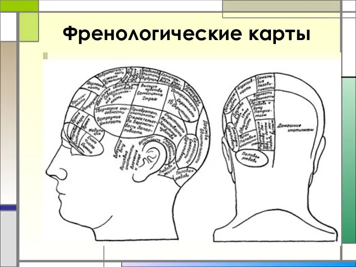 Френологические карты