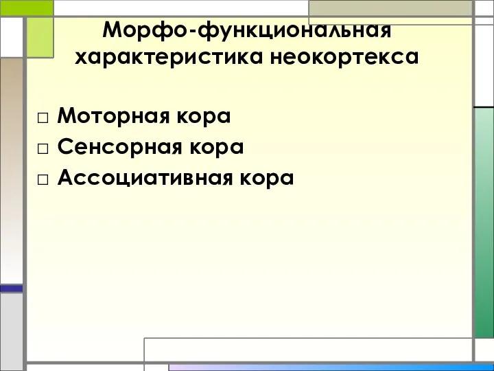 Морфо-функциональная характеристика неокортекса Моторная кора Сенсорная кора Ассоциативная кора