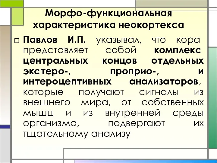 Морфо-функциональная характеристика неокортекса Павлов И.П. указывал, что кора представляет собой комплекс центральных