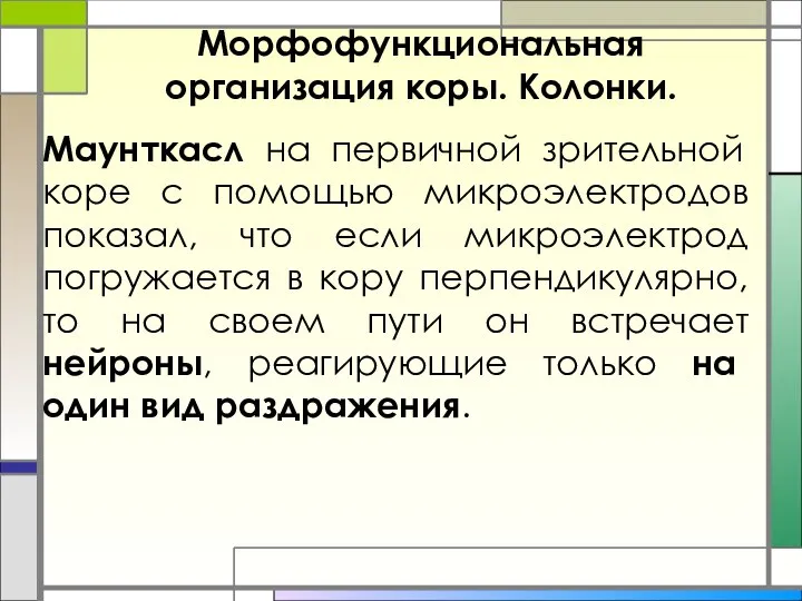 Морфофункциональная организация коры. Колонки. Маунткасл на первичной зрительной коре с помощью микроэлектродов