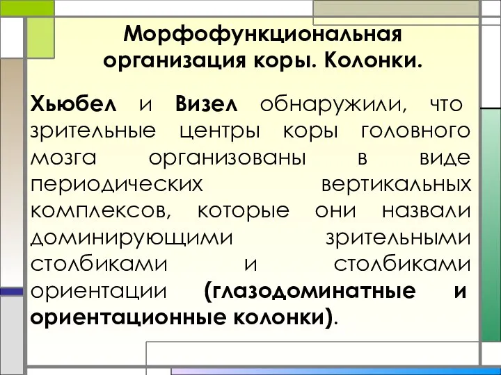 Хьюбел и Визел обнаружили, что зрительные центры коры головного мозга организованы в