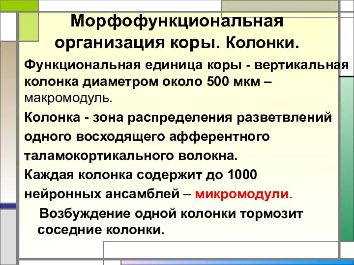 Морфофункциональная организация коры. Колонки. Функциональная единица коры - вертикальная колонка диаметром около