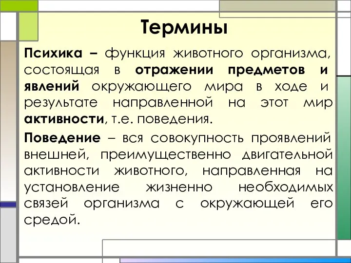 Термины Психика – функция животного организма, состоящая в отражении предметов и явлений