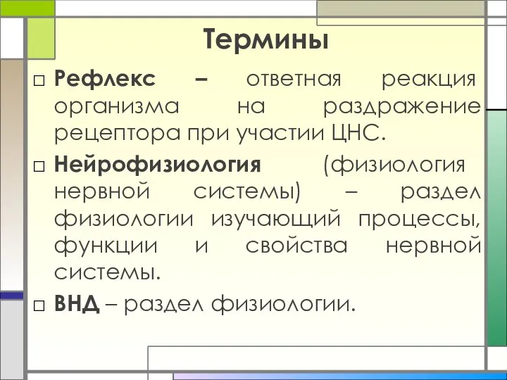 Термины Рефлекс – ответная реакция организма на раздражение рецептора при участии ЦНС.