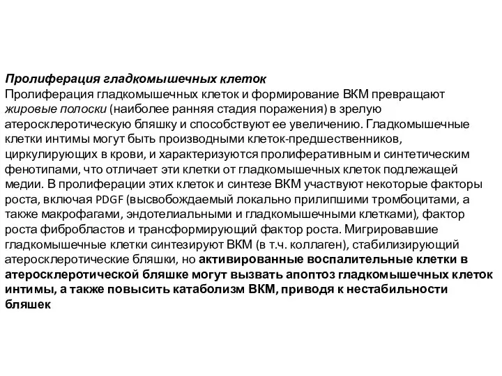 Пролиферация гладкомышечных клеток Пролиферация гладкомышечных клеток и формирование ВКМ превращают жировые полоски