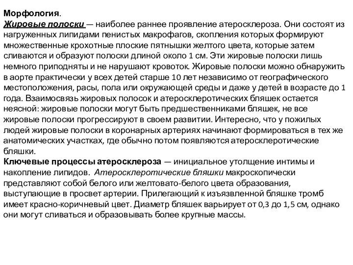 Морфология. Жировые полоски — наиболее раннее проявление атеросклероза. Они состоят из нагруженных