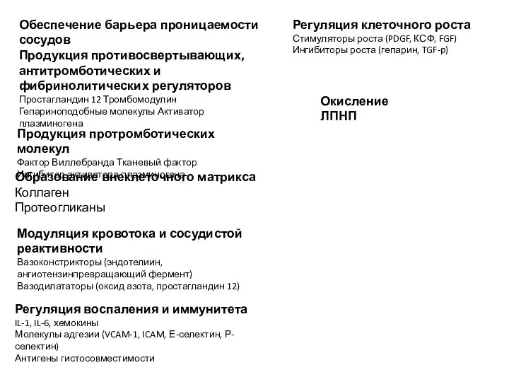 Обеспечение барьера проницаемости сосудов Продукция противосвертывающих, антитромботических и фибринолитических регуляторов Простагландин 12