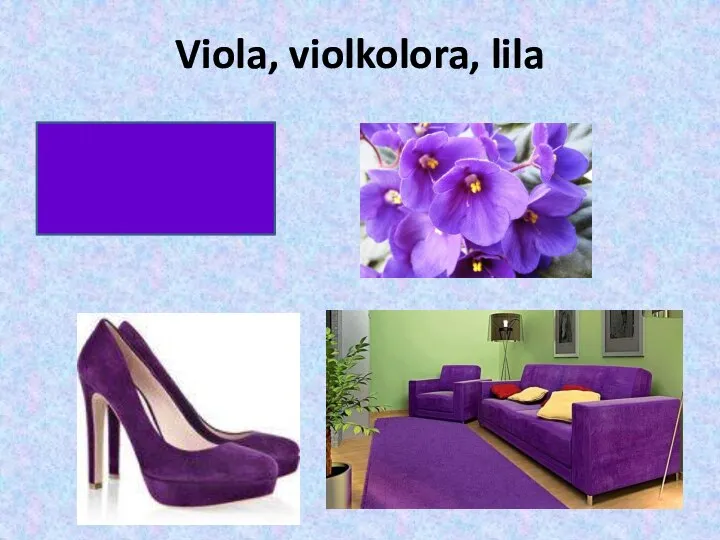 Viola, violkolora, lila