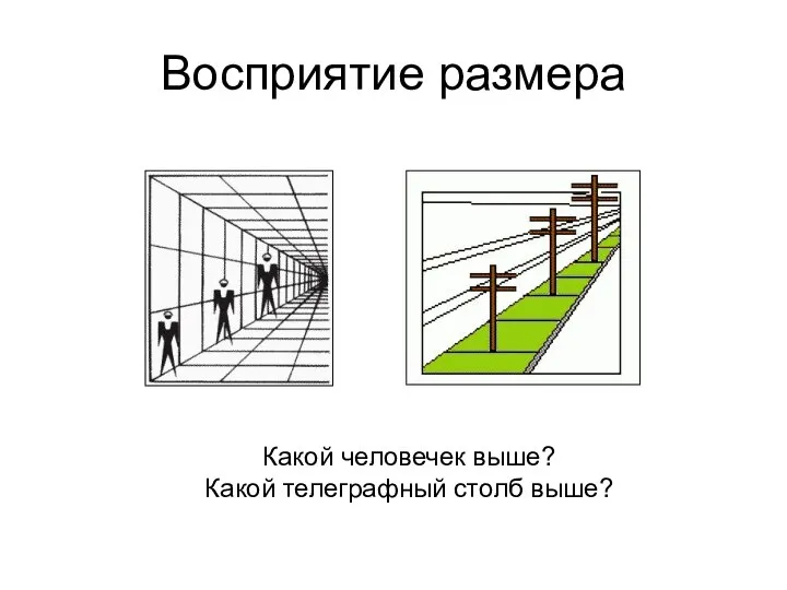 Восприятие размера Какой человечек выше? Какой телеграфный столб выше?