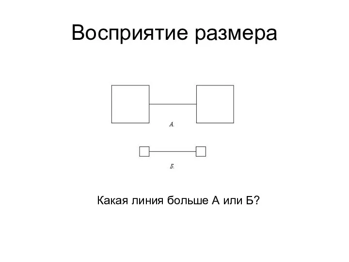 Восприятие размера Какая линия больше А или Б?