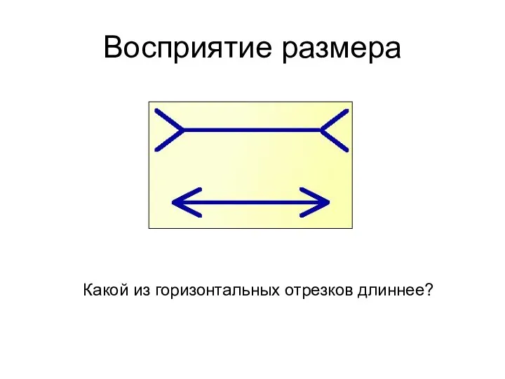 Восприятие размера Какой из горизонтальных отрезков длиннее?