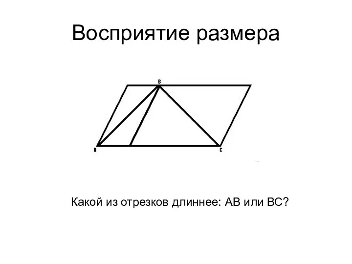 Восприятие размера Какой из отрезков длиннее: АВ или ВС?