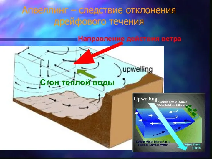 Апвеллинг – следствие отклонения дрейфового течения Направление действия ветра Сгон теплой воды