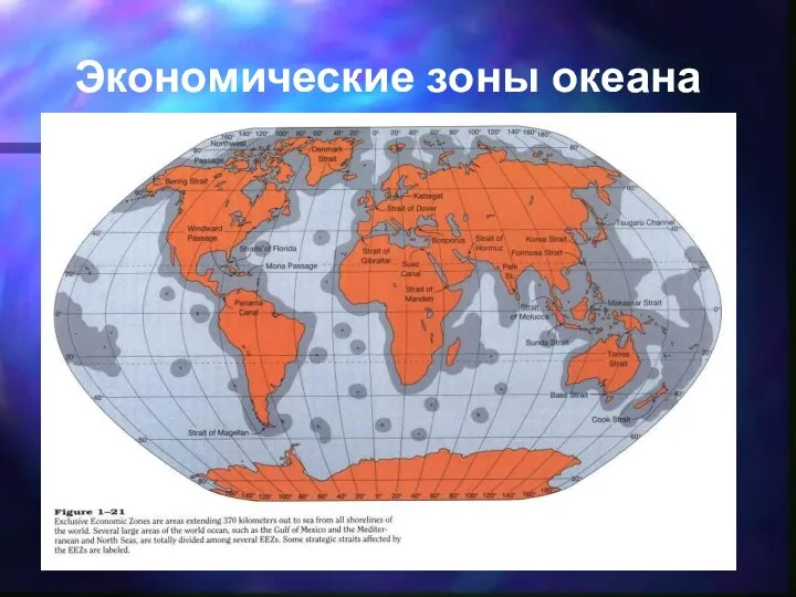 Экономические зоны океана