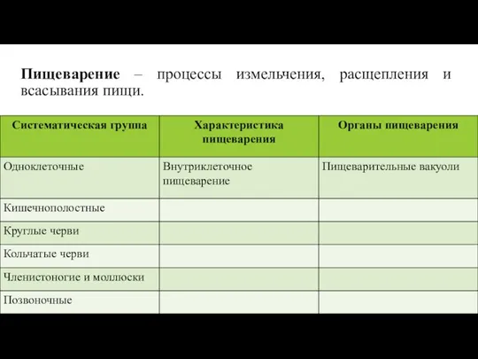 Пищеварение – процессы измельчения, расщепления и всасывания пищи.