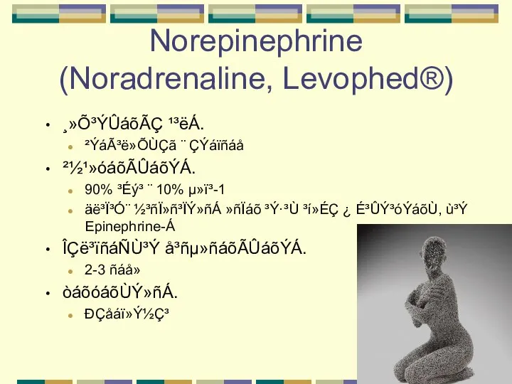 Norepinephrine (Noradrenaline, Levophed®) ¸»Õ³ÝÛáõÃÇ ¹³ëÁ. ²ÝáÃ³ë»ÕÙÇã ¨ ÇÝáïñáå ²½¹»óáõÃÛáõÝÁ. 90% ³Éý³ ¨