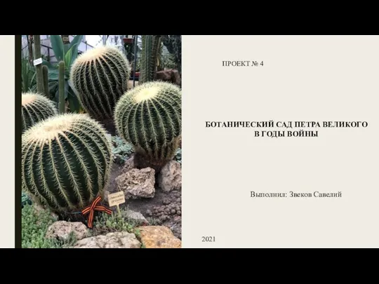 ПРОЕКТ № 4 БОТАНИЧЕСКИЙ САД ПЕТРА ВЕЛИКОГО В ГОДЫ ВОЙНЫ Выполнил: Звеков Савелий 2021