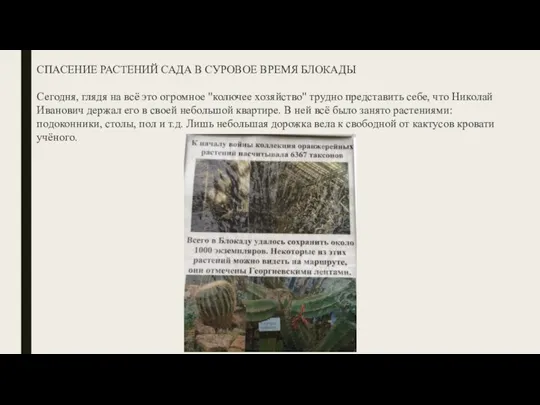 СПАСЕНИЕ РАСТЕНИЙ САДА В СУРОВОЕ ВРЕМЯ БЛОКАДЫ Сегодня, глядя на всё это