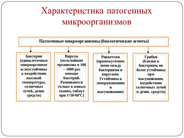 Характеристика патогенных микроорганизмов