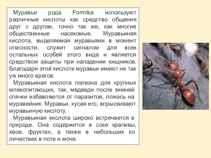 Муравьи рода Formika используют различные кислоты как средство общения друг с другом,