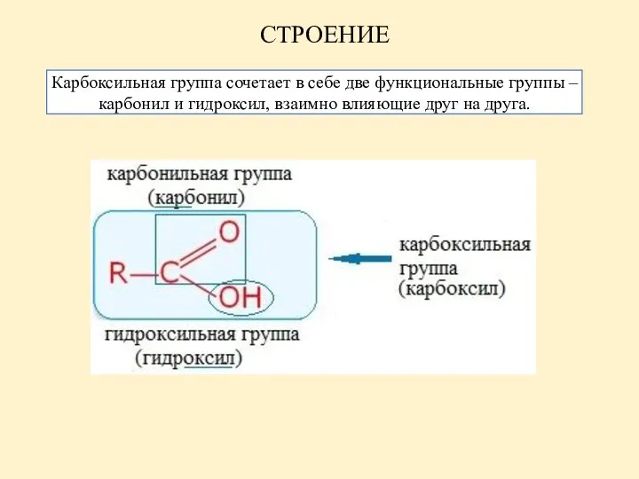 СТРОЕНИЕ Карбоксильная группа сочетает в себе две функциональные группы – карбонил и