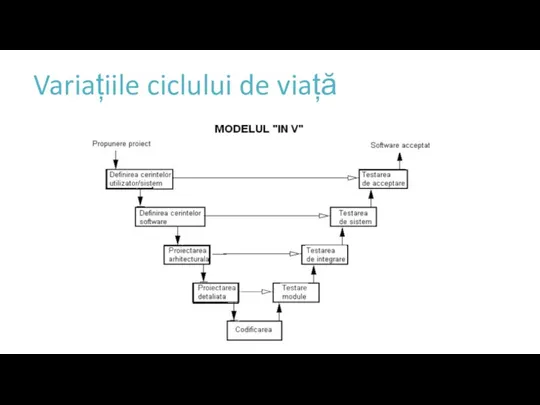 Variațiile ciclului de viață