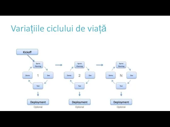 Variațiile ciclului de viață