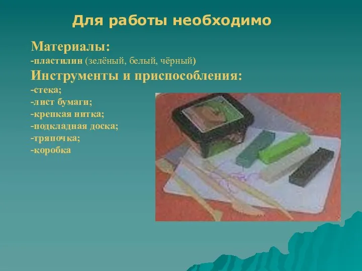Материалы: -пластилин (зелёный, белый, чёрный) Инструменты и приспособления: -стека; -лист бумаги; -крепкая