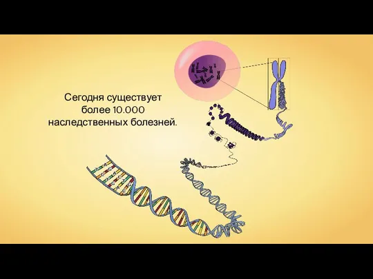 Сегодня существует более 10.000 наследственных болезней.