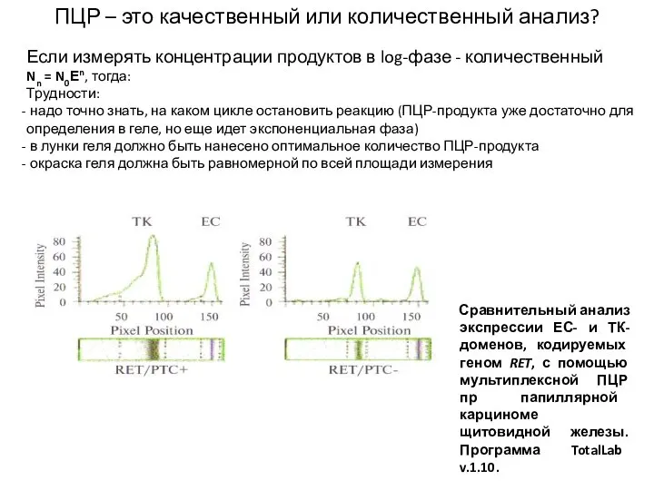 ПЦР – это качественный или количественный анализ? Если измерять концентрации продуктов в