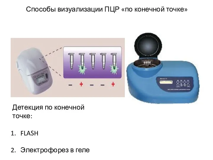 Способы визуализации ПЦР «по конечной точке» Детекция по конечной точке: FLASH Электрофорез в геле