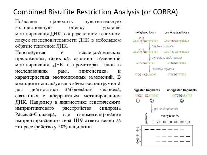 Combined Bisulfite Restriction Analysis (or COBRA) Позволяет проводить чувствительную количественную оценку уровней