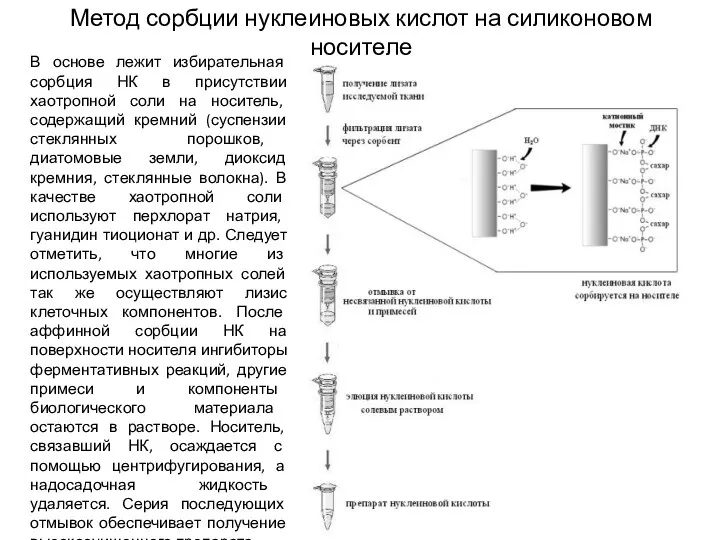 Метод сорбции нуклеиновых кислот на силиконовом носителе В основе лежит избирательная сорбция