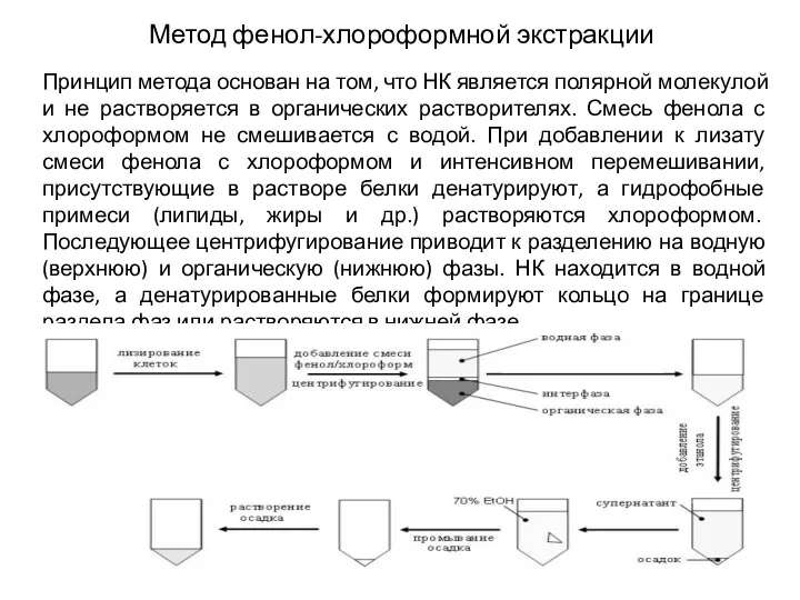 Метод фенол-хлороформной экстракции Принцип метода основан на том, что НК является полярной