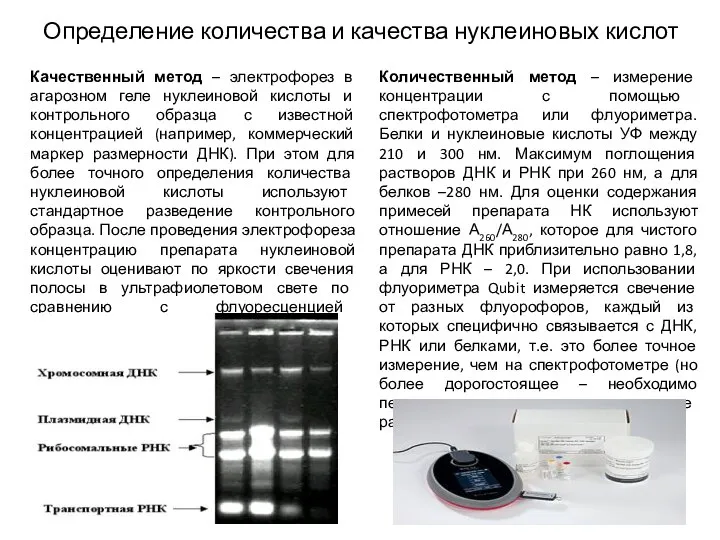 Определение количества и качества нуклеиновых кислот Качественный метод – электрофорез в агарозном