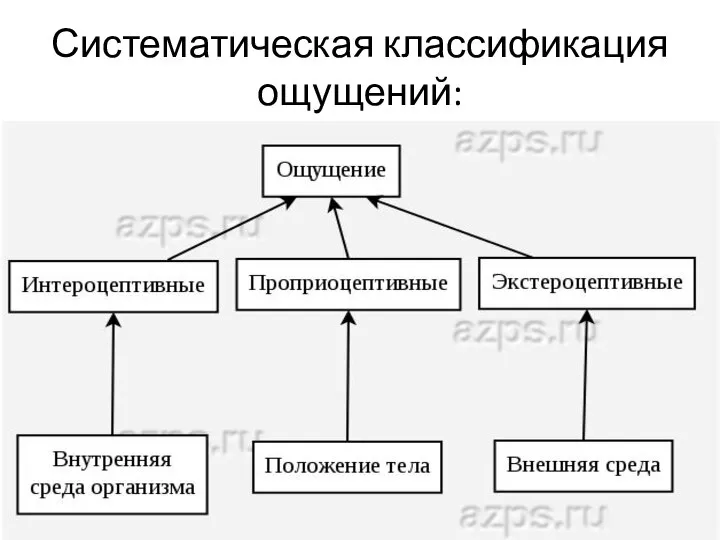 Систематическая классификация ощущений: