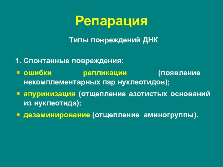 Типы повреждений ДНК 1. Спонтанные повреждения: ошибки репликации (появление некомплементарных пар нуклеотидов);